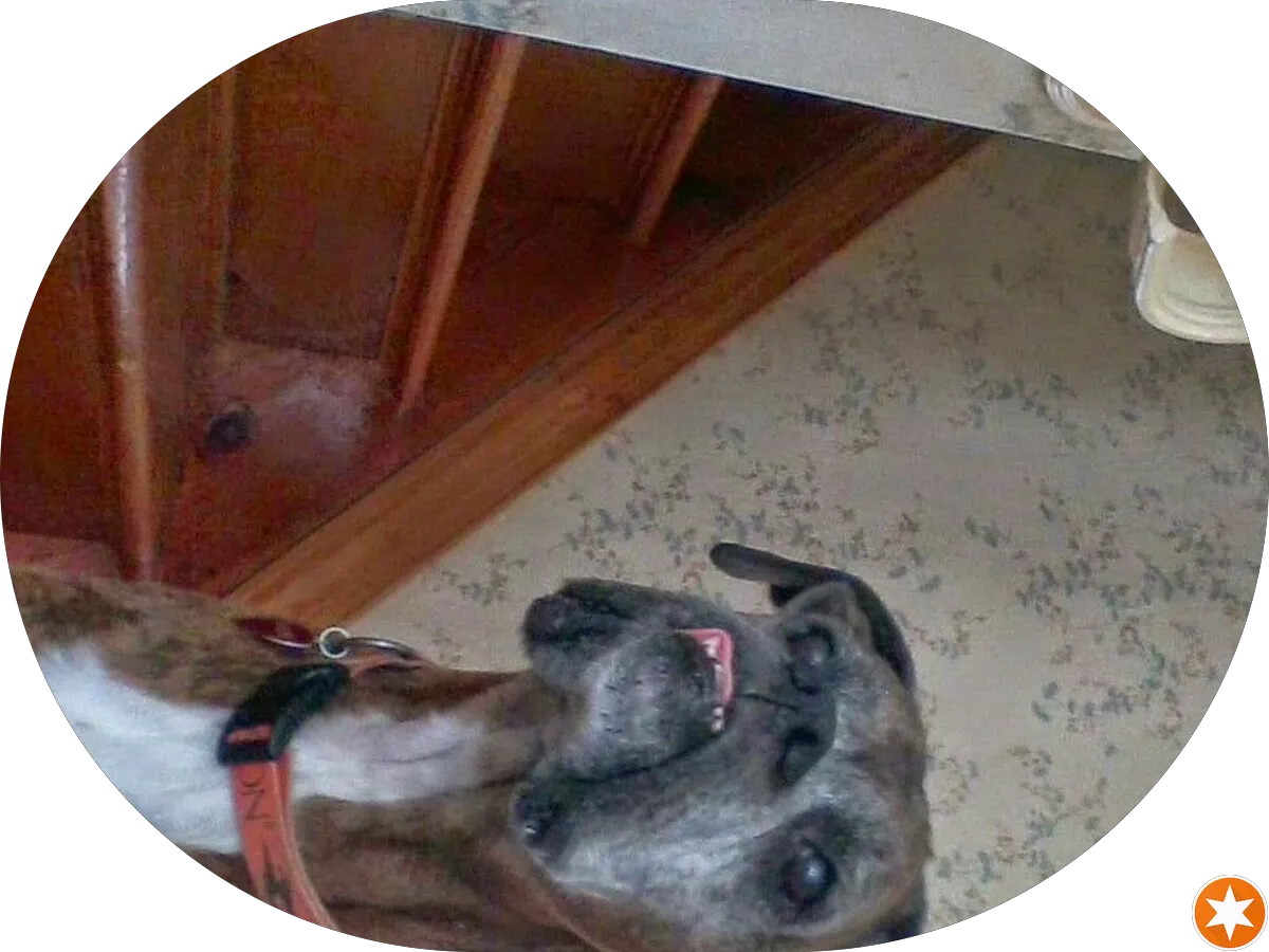 Farm on the Point Market photo 4