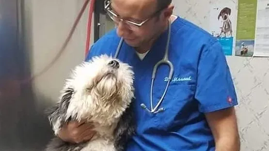 Farview Animal Clinic Paramus photo 2