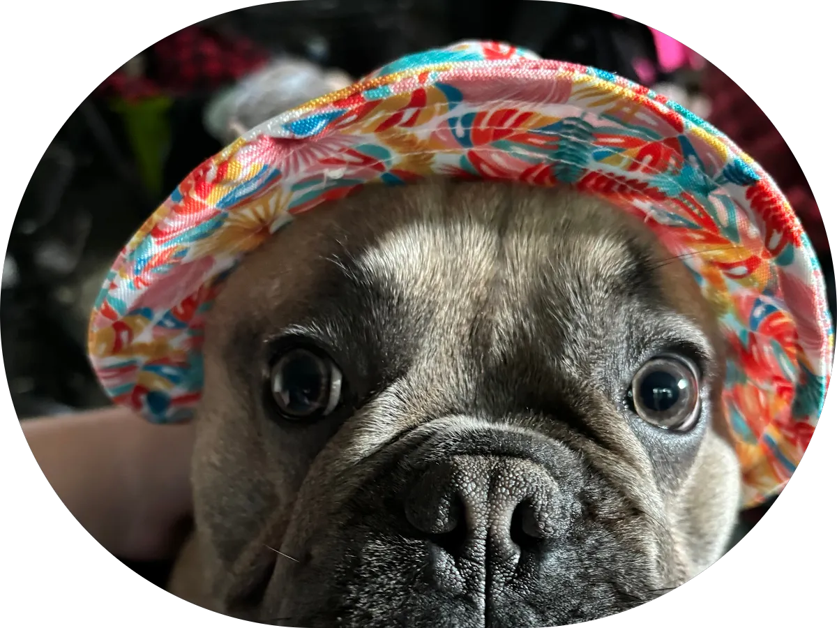 Five Star Car Wash and Detail photo 5