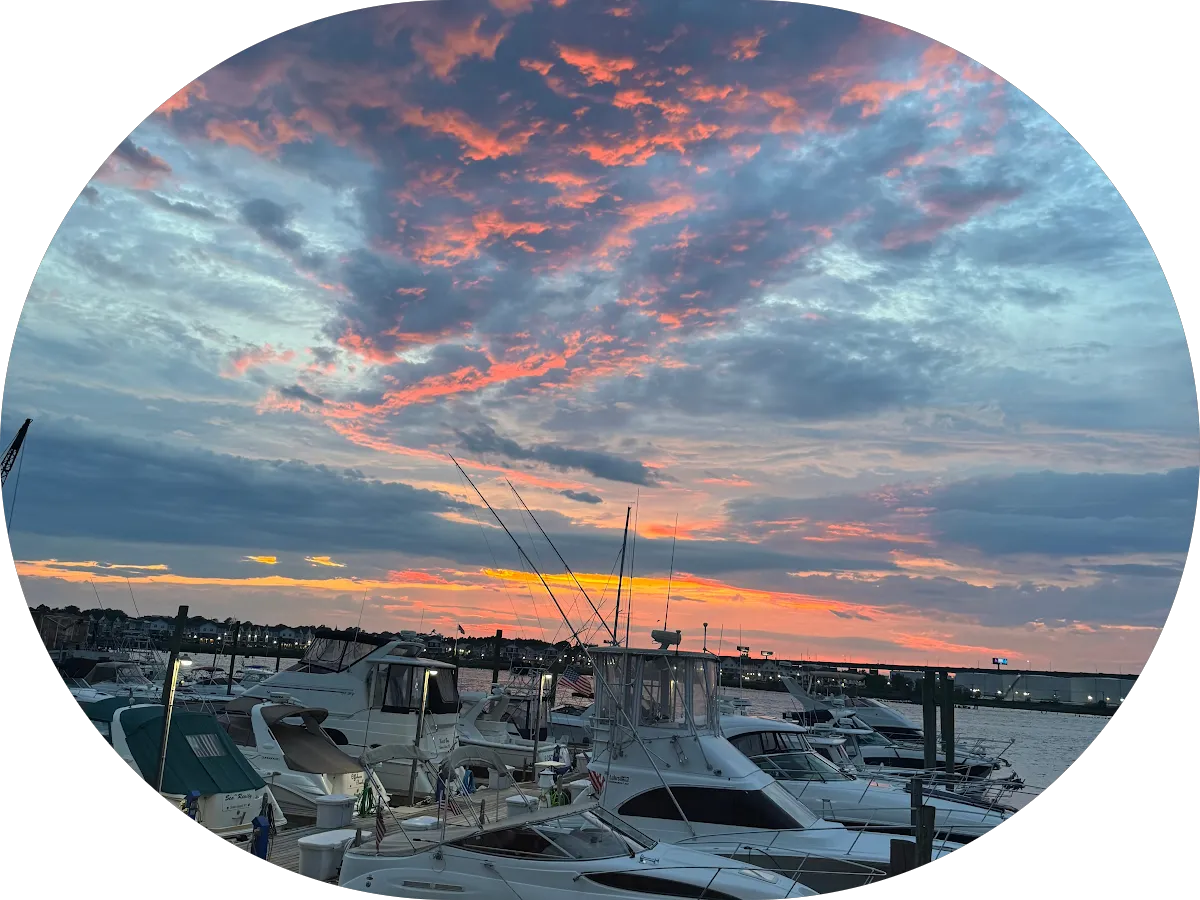 Flavio Landscaping photo 5