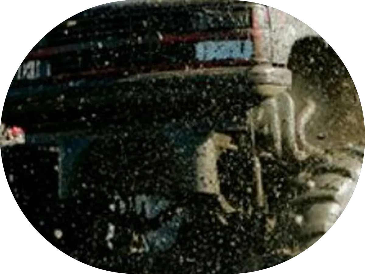 Flea Flicker Pest Control photo 4