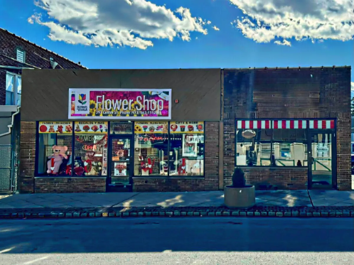 Flowers by Veizaga photo 4