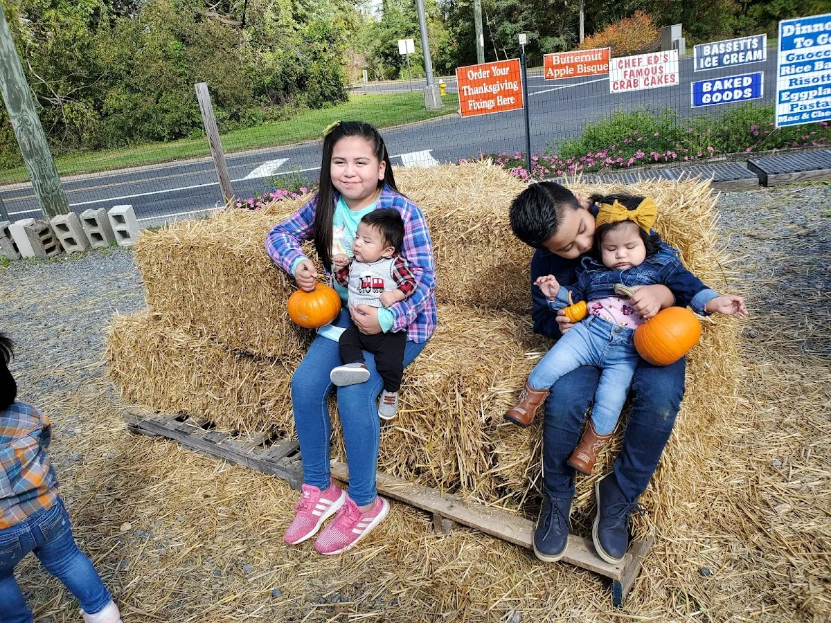 Flying Feather Farm photo 4