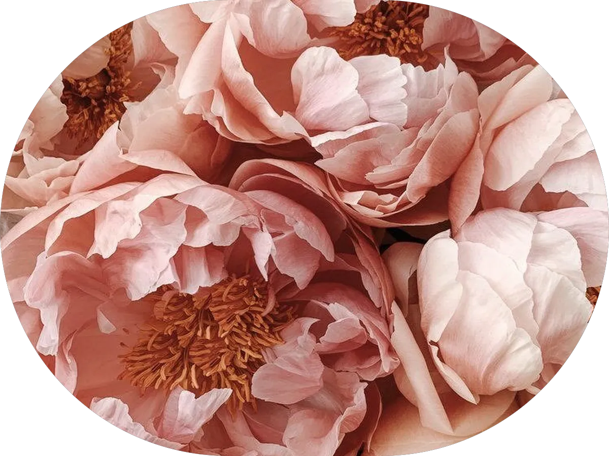 Forbes Marketing photo 3