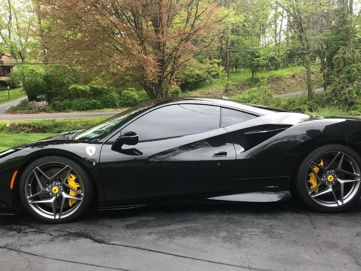 Forest Hill Exotic Performance