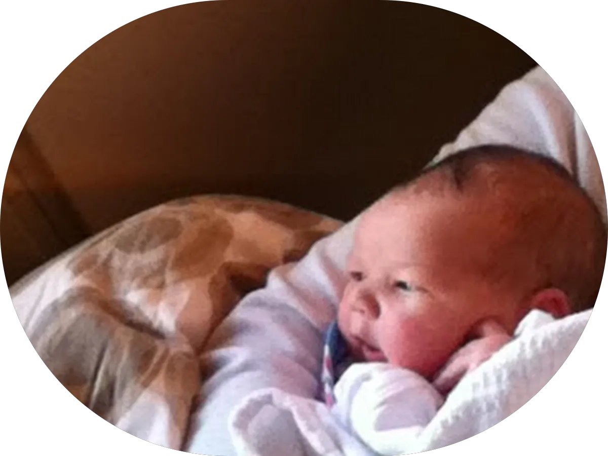 Fortified Roofing photo 4