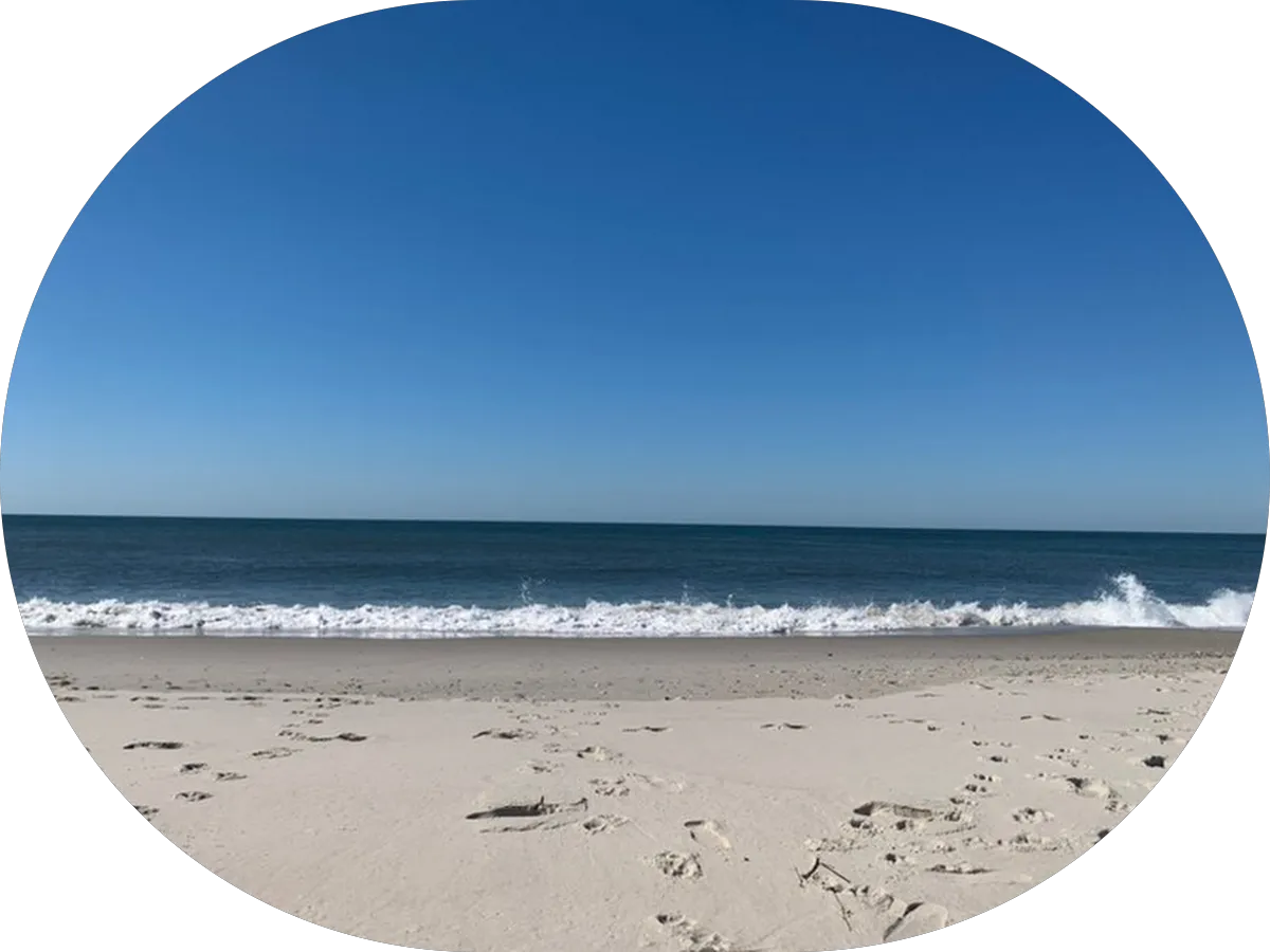 Fox and Fable Photography photo 5