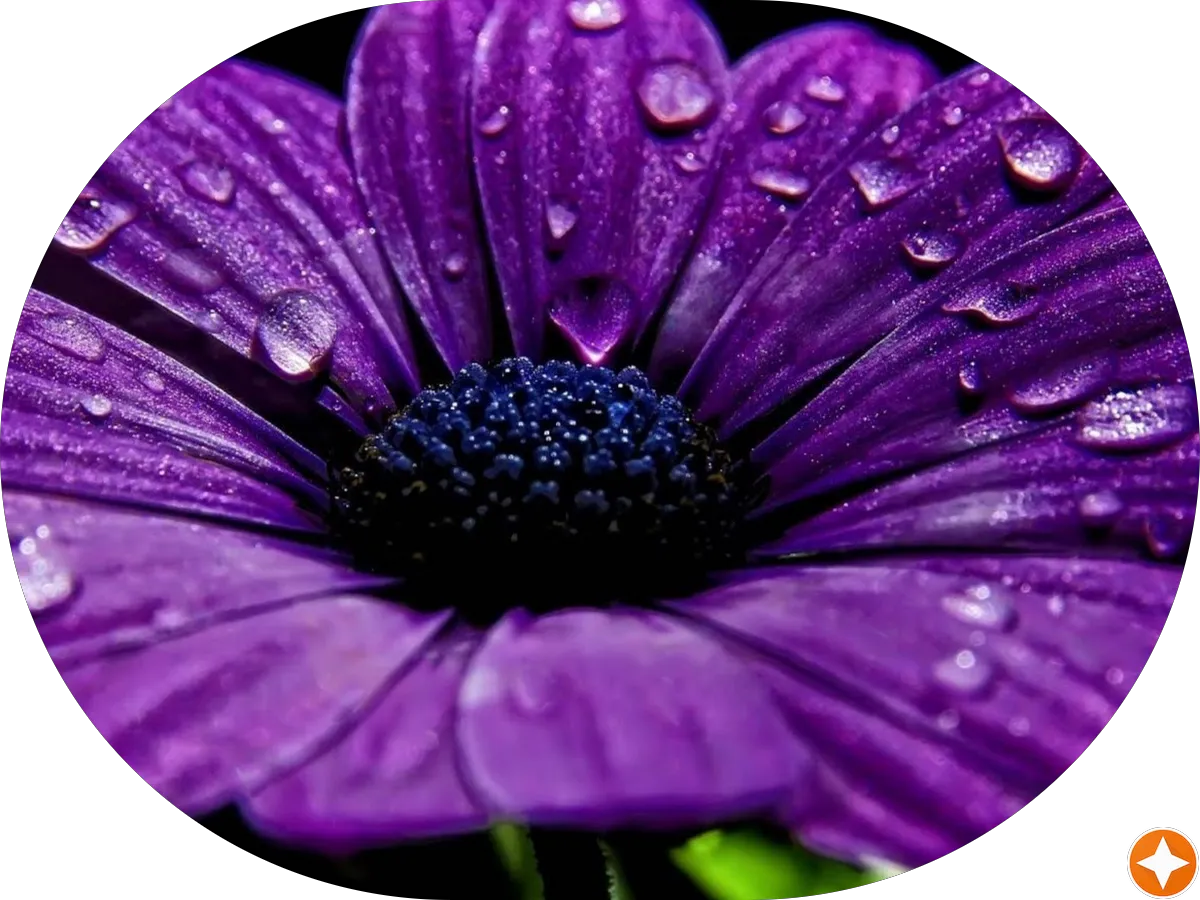 Francisco Handyman Services photo 5