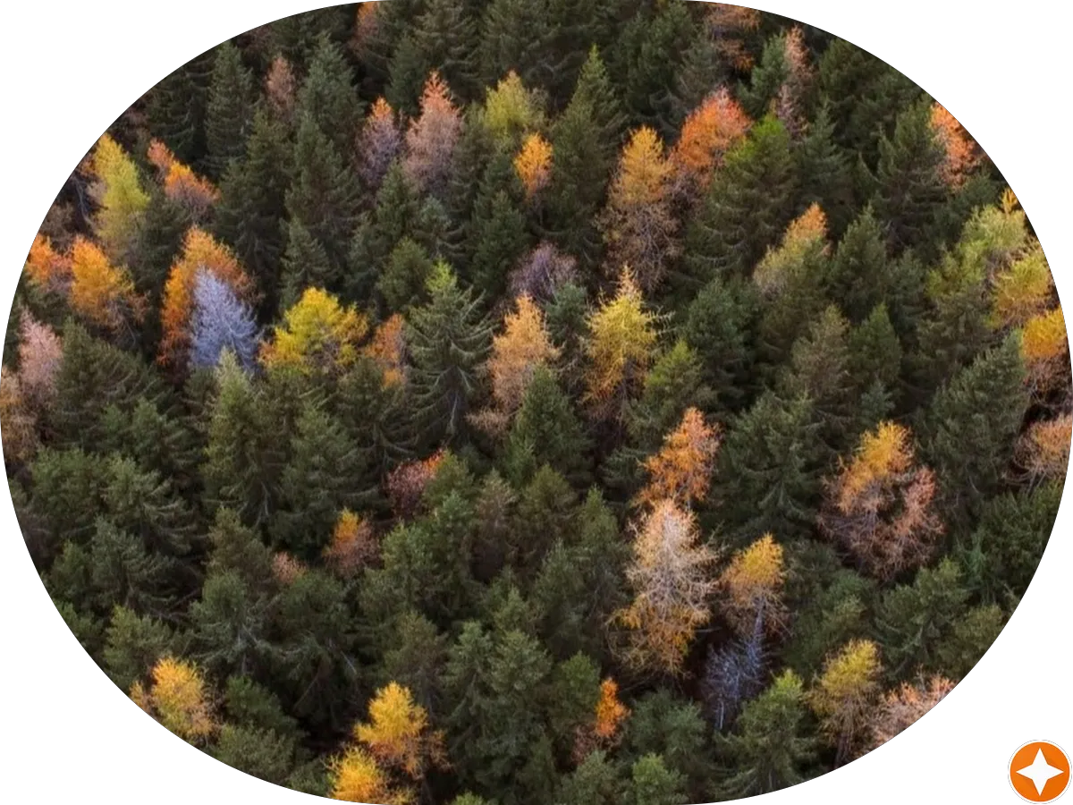 Franklin’s ice cream photo 4