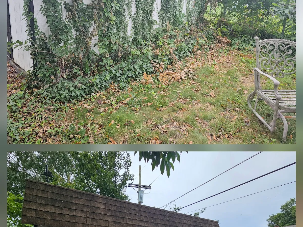 Frank's Lawn Services photo 4