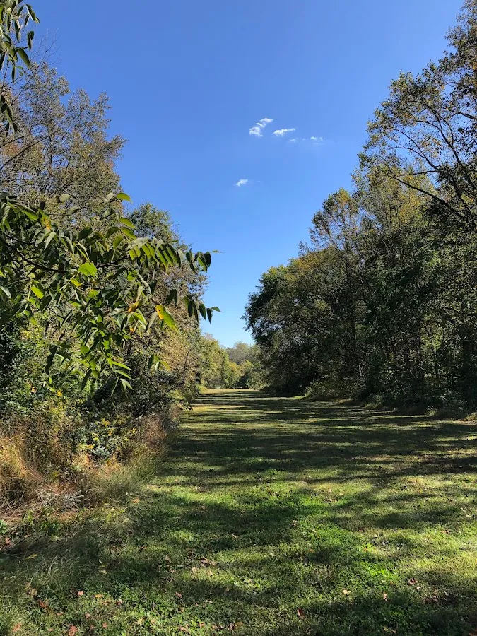 Freedom Barks photo 2