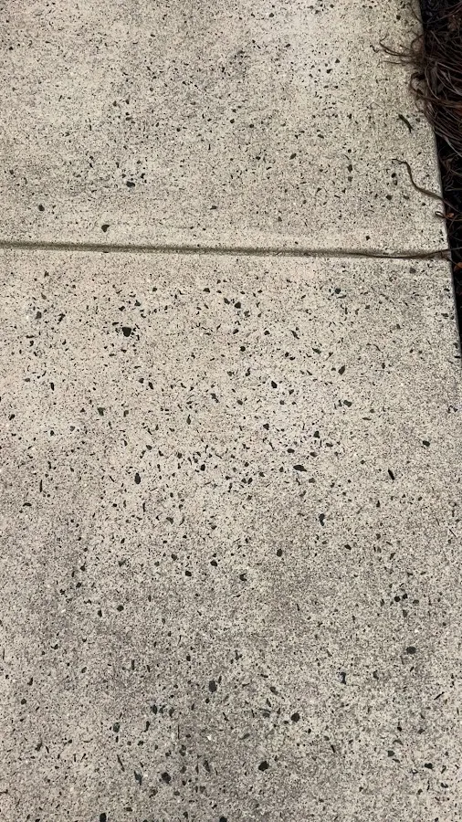 Fresh Start Counseling photo 3