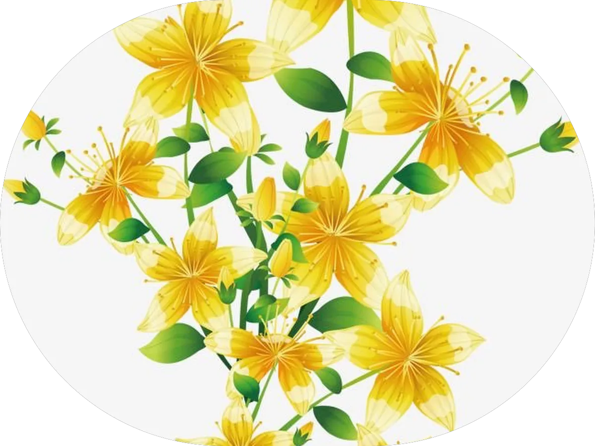 Fresh Touch LLC Home Improvements photo 4