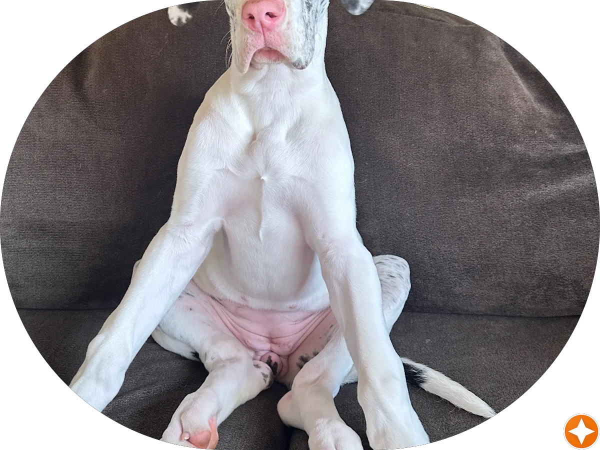 Fuhrman & Edelman photo 3