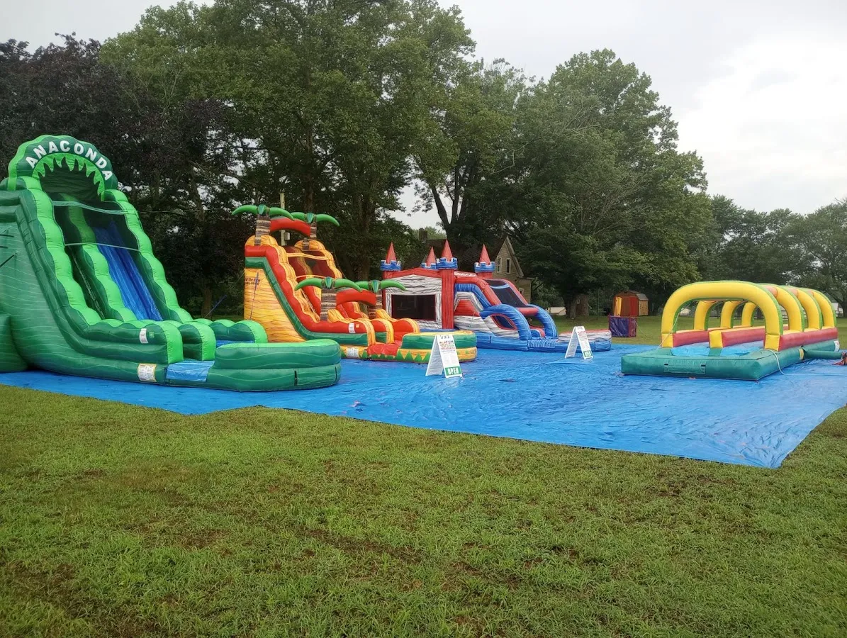 Fun in the Sun Inflatables LLC photo 3