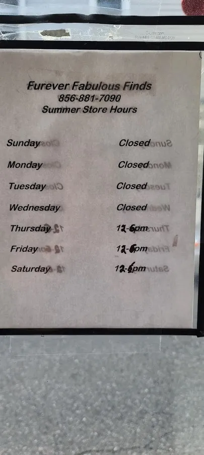 Furever Fabulous Finds photo 2