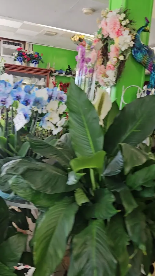 Gainer's Florist photo 3