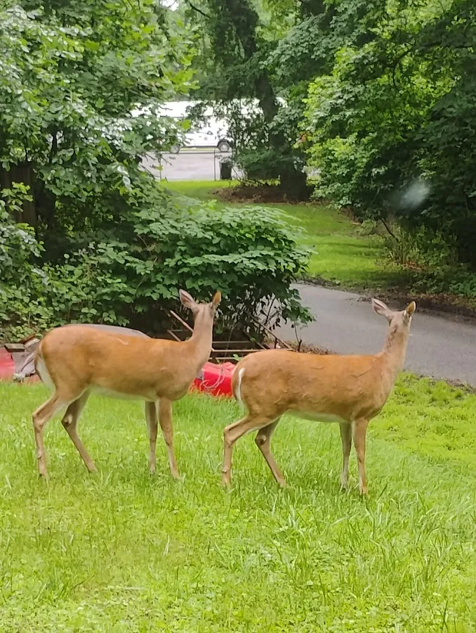 Galezniak Plumbing & Heating photo 2