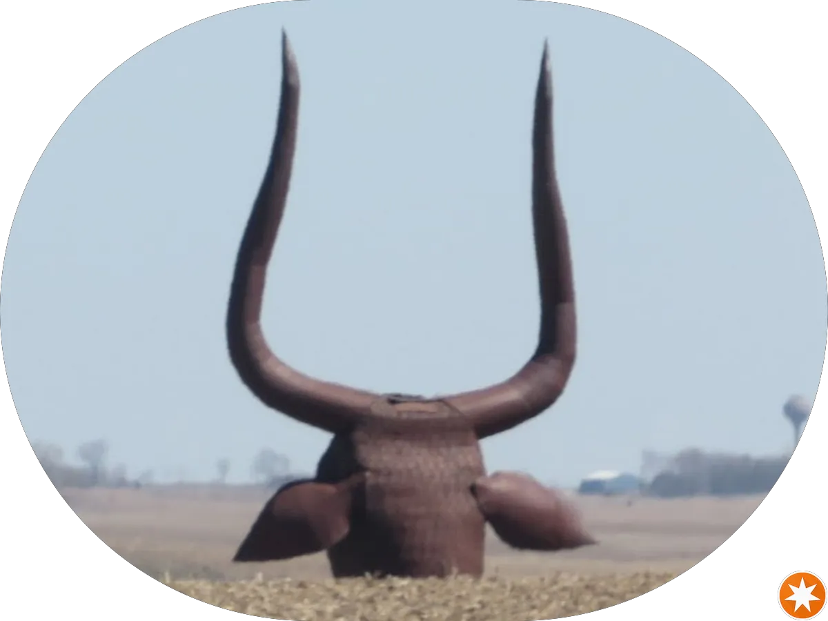 Gallo Wine Sales of New Jersey photo 3