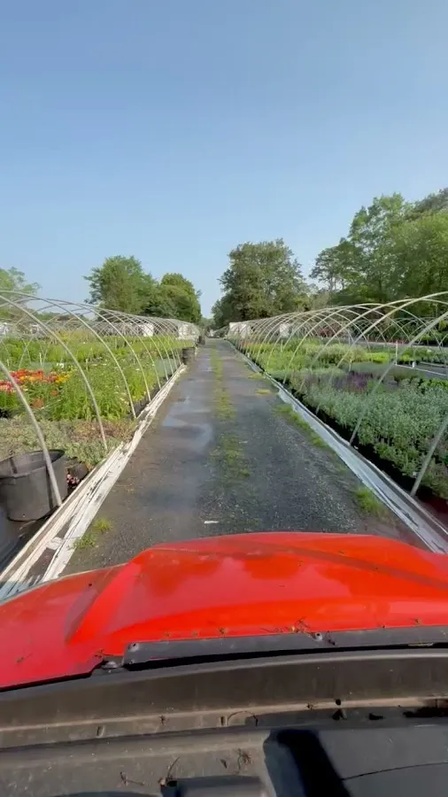Galloway Nursery photo 2