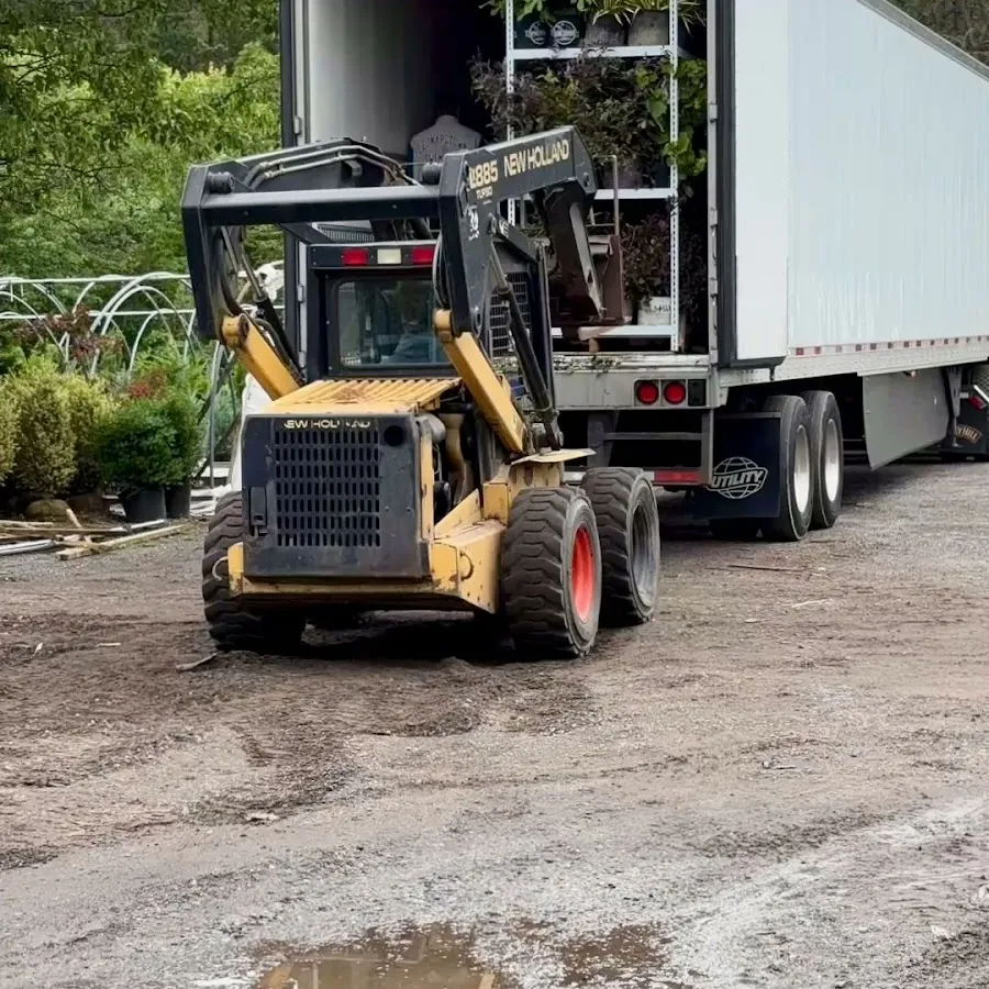 Galloway Nursery photo 3