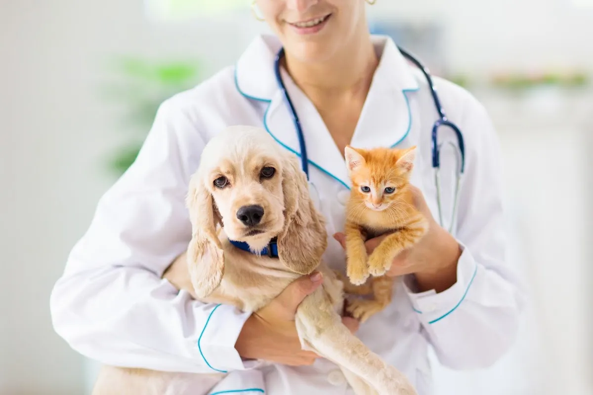 Galloway Veterinary Wellness