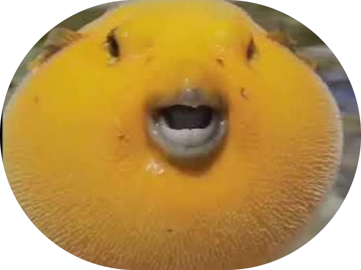 Garage Door Repair Experts photo 3