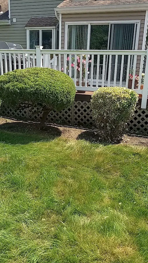 Garden State Lawn Care photo 2