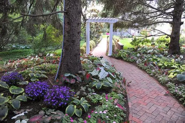 Garnich Landscaping photo 2