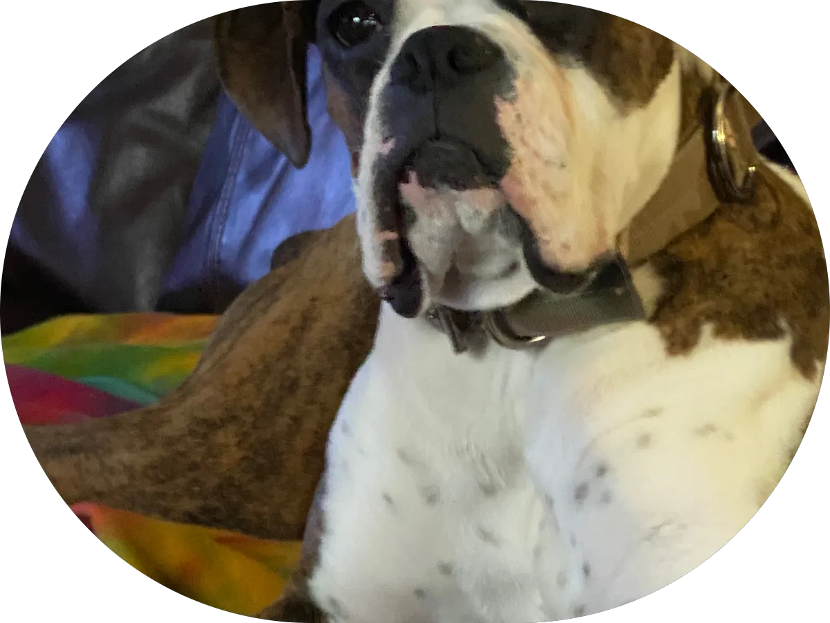 GARRETT HEATING & COOLING photo 4