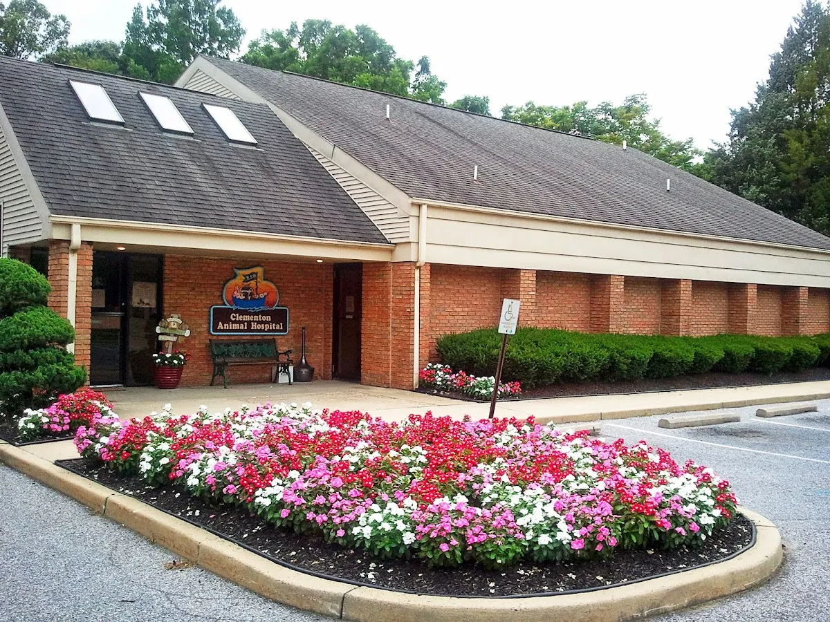 Garzotto Caroline DVM photo 2