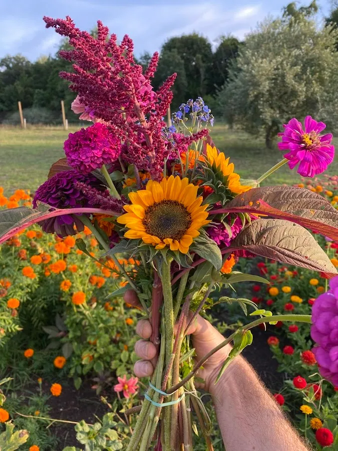 Generous Greens & Flower Co.