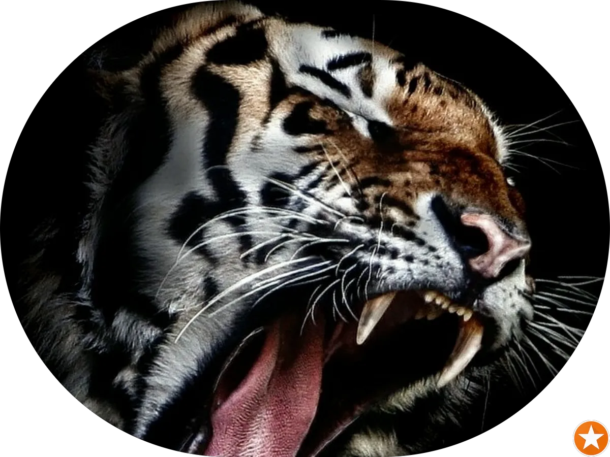 George's Deli photo 4