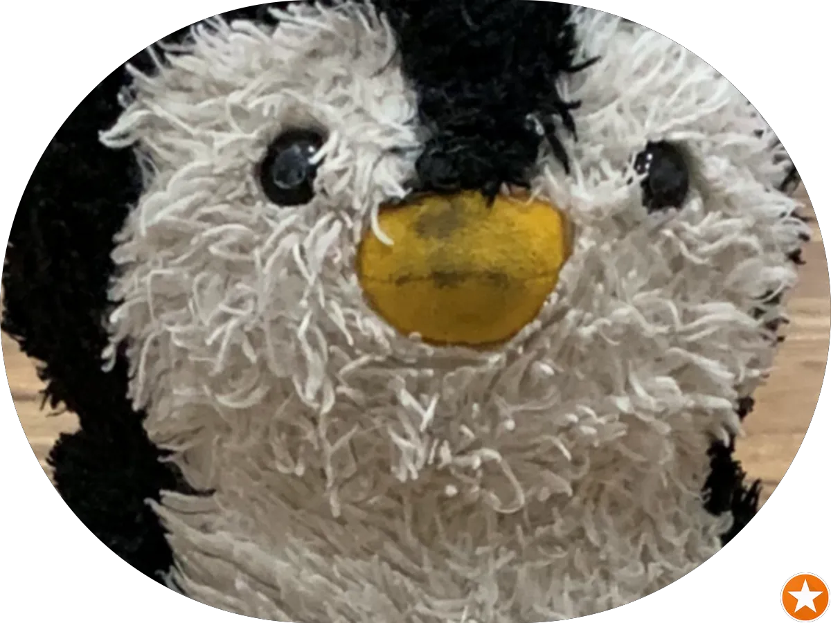 George's Friendly Services photo 3