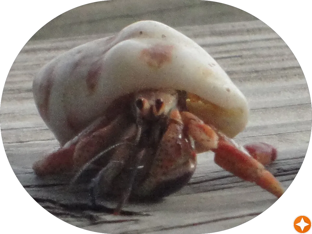 Gibson General Elec Contractor photo 3