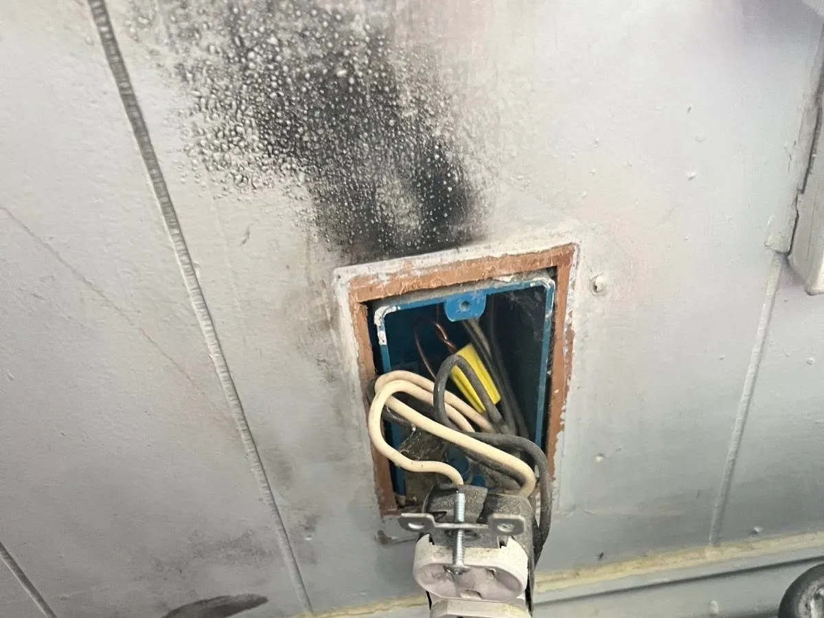 Gibson General Elec Contractor photo 4