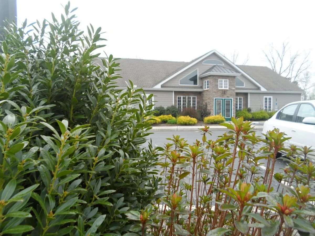 Giegerich Orthodontics photo 5