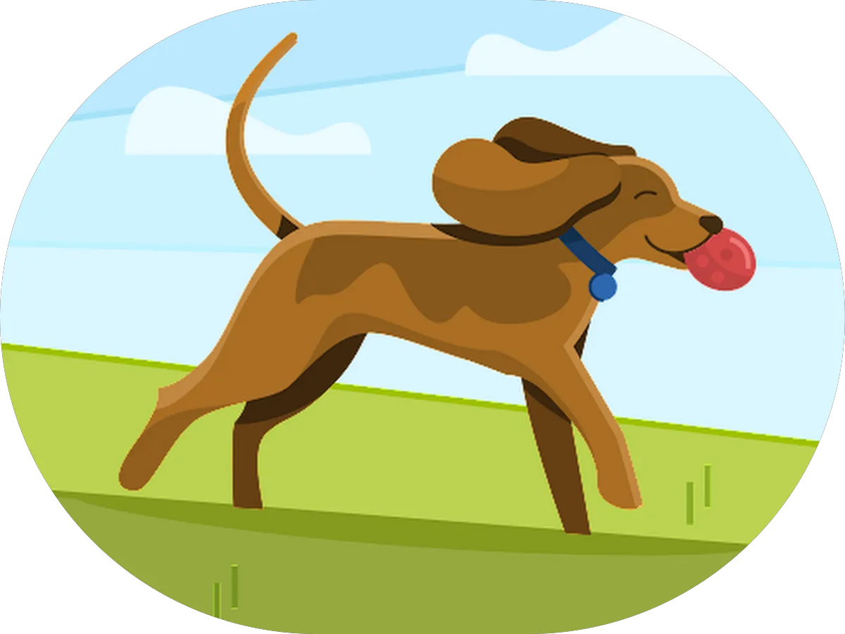 Gina Lerario, Realtor at REAL Brokerage