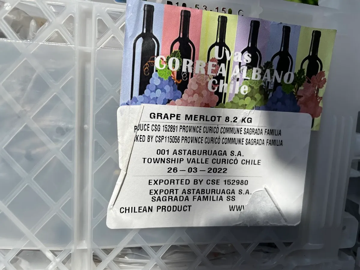 Gino Pinto, Inc photo 3