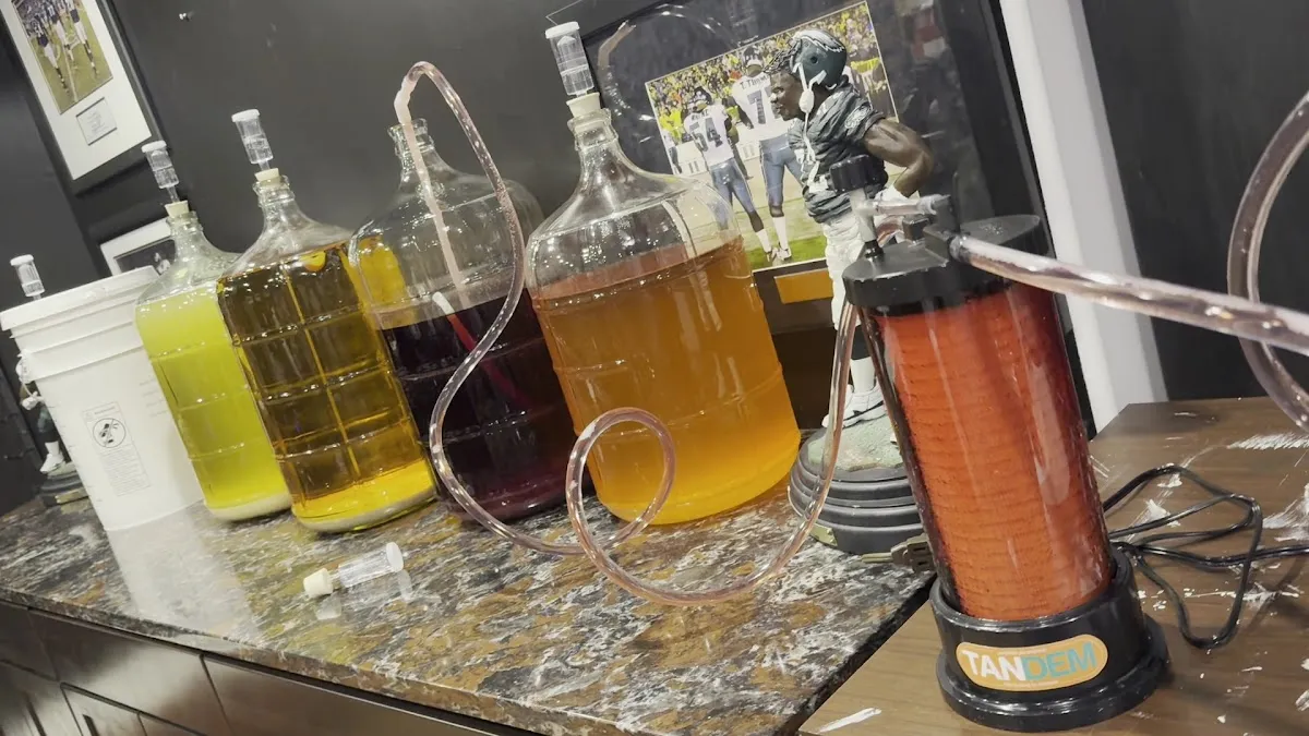 Gino Pinto, Inc photo 5