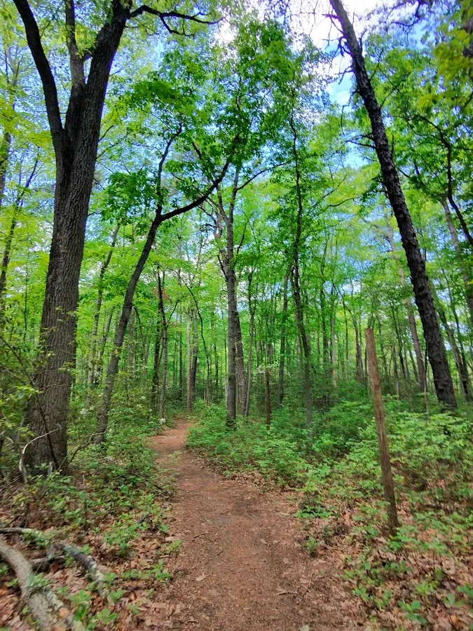 Gloucester Township Community Park photo 3