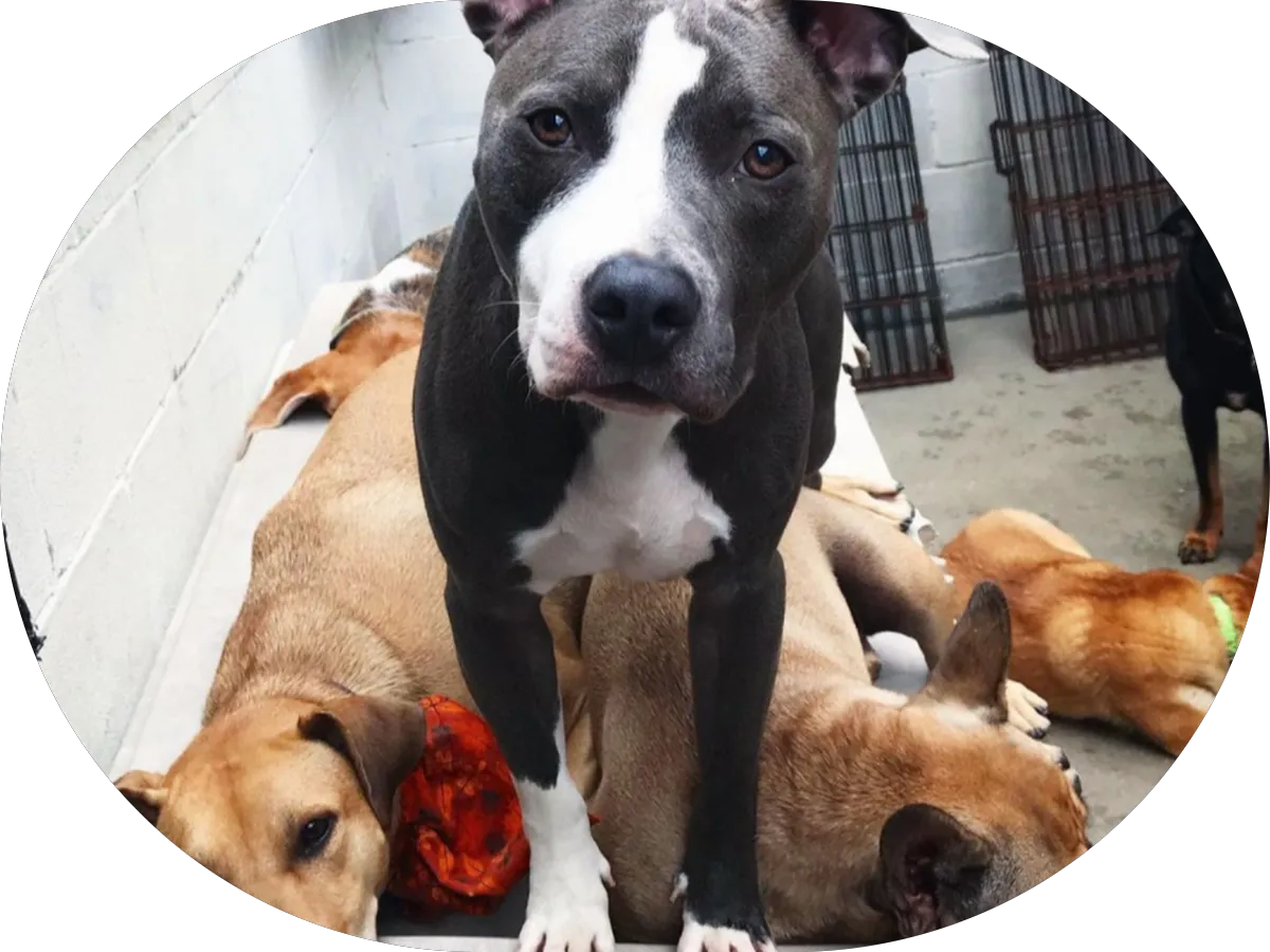 Go Green Truck HVAC photo 5