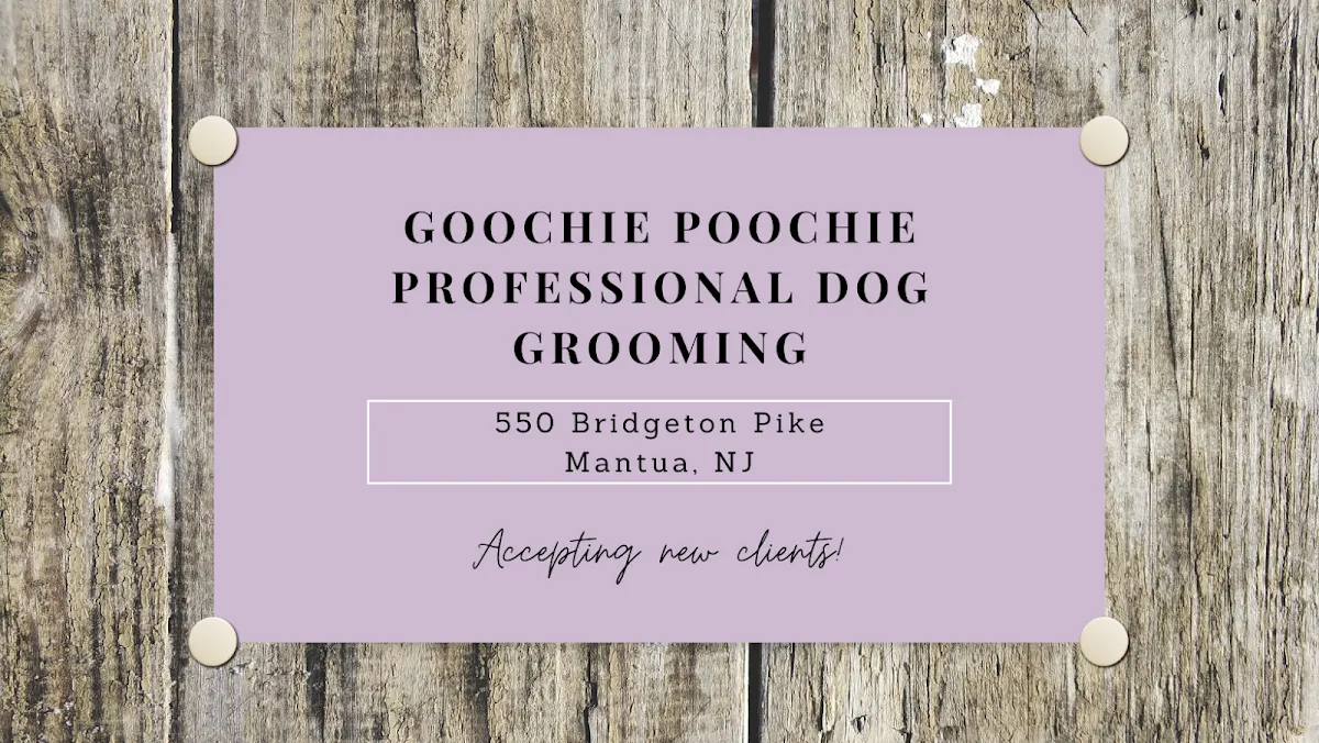 Goochie Poochie Professional Dog Grooming photo 2