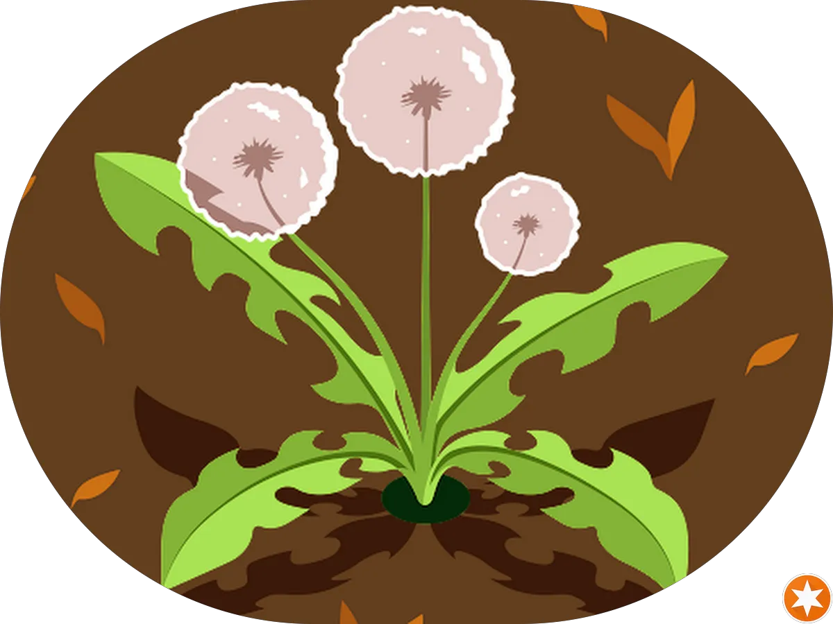 Goodwill Store & Donation Center photo 4