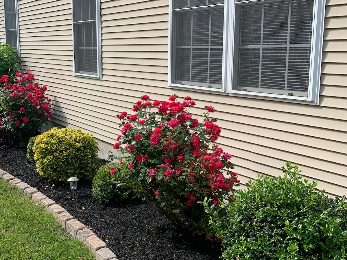 Gordon’s Grass photo 3