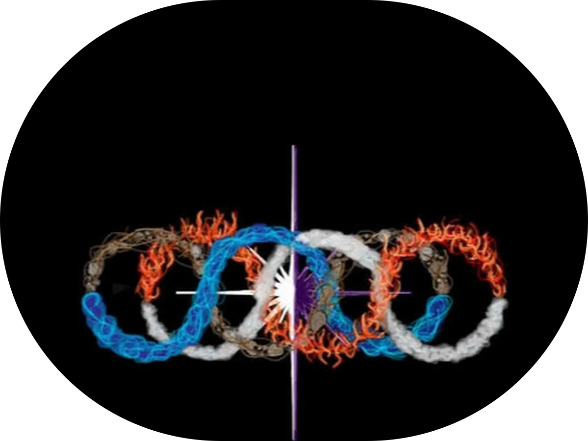 Grafic's Paradise photo 4