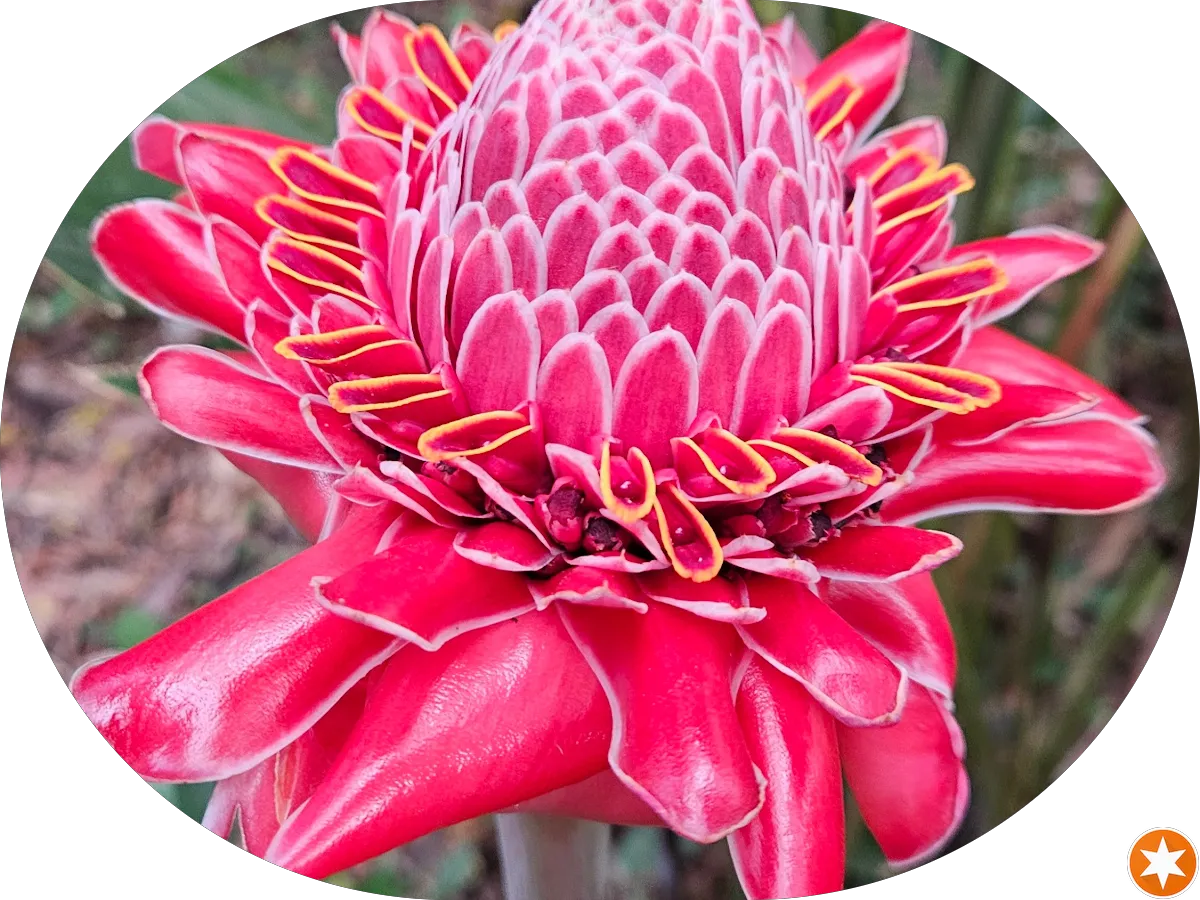 Great Valley Lockshop Inc photo 4