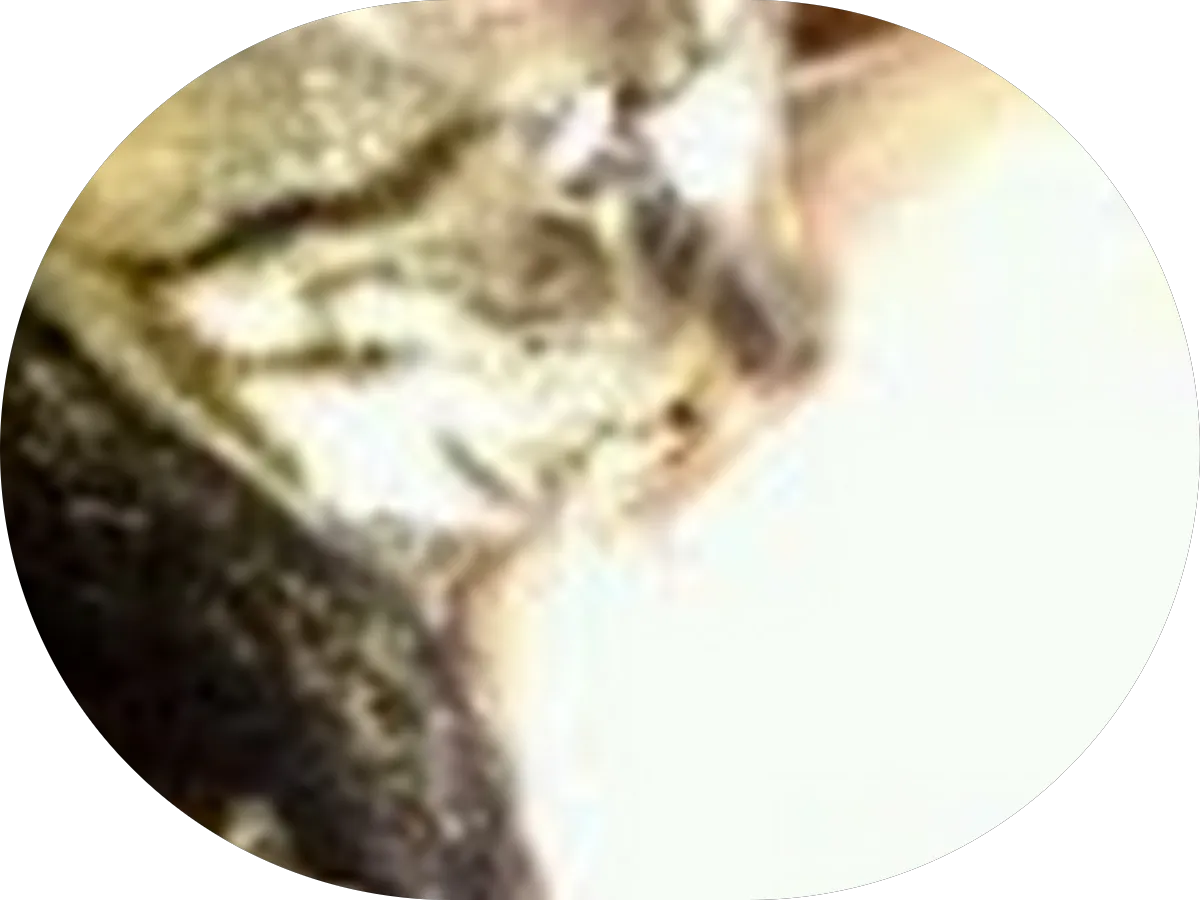 Greentree Mortgage Company, LP photo 4