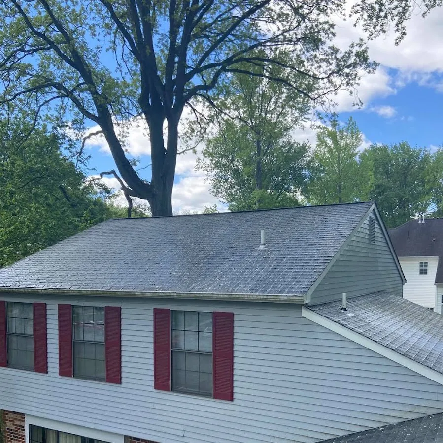 GREENWAY PRESSURE WASHING photo 2