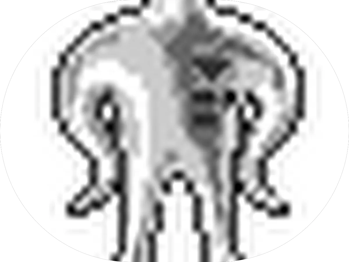 Greg Avakian photo 4